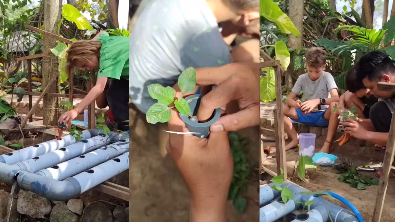kids learning hydroponic