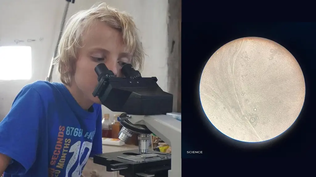 science program in the open flow