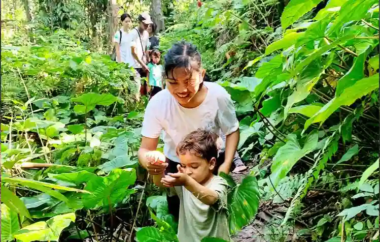 outdoor goto forest