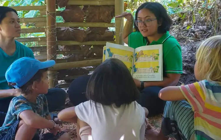 study at forest