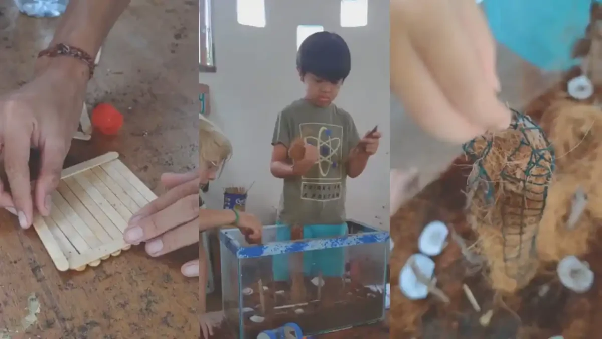 build hermit crab home